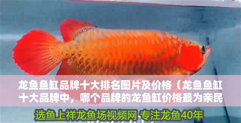 龍魚魚缸品牌十大排名圖片及價格（龍魚魚缸十大品牌中，哪個品牌的龍魚缸價格最為親民？）
