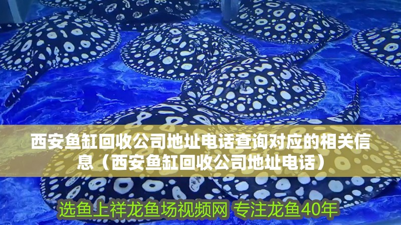 西安魚缸回收公司地址電話查詢對應的相關信息（西安魚缸回收公司地址電話）