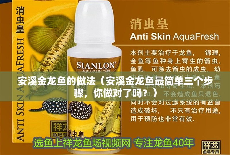 安溪金龍魚的做法(安溪金龍魚最簡單三個步驟,你做對了嗎?) 觀賞魚百科 第2張 安溪金龍魚的做法(安溪金龍魚最簡單三個步驟,你做對了嗎?) 安溪金龍魚的做法(安溪金龍魚最簡單三個步驟,你做對了嗎?) 觀賞魚百科 第2張