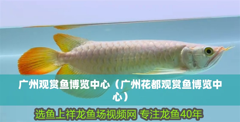廣州觀賞魚(yú)博覽中心（廣州花都觀賞魚(yú)博覽中心） 廣州觀賞魚(yú)博覽中心（廣州花都觀賞魚(yú)博覽中心） 觀賞魚(yú)百科