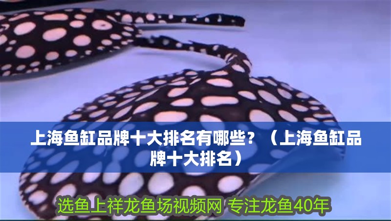 上海魚缸品牌十大排名有哪些?(上海魚缸品牌十大排名) 觀賞魚百科 第2張 上海魚缸品牌十大排名有哪些?(上海魚缸品牌十大排名) 上海魚缸品牌十大排名有哪些?(上海魚缸品牌十大排名) 觀賞魚百科 第2張