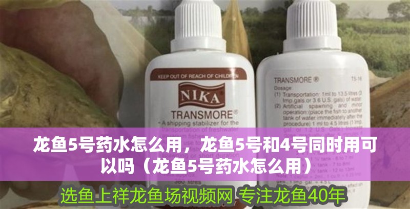 龍魚5號藥水怎么用，龍魚5號和4號同時用可以嗎（龍魚5號藥水怎么用）