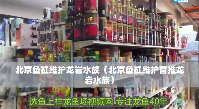 北京魚(yú)缸維護(hù)龍巖水族（北京魚(yú)缸維護(hù)首推龍巖水族）