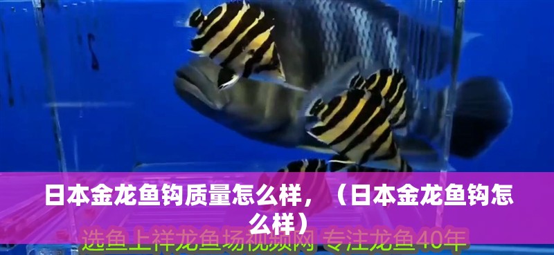 日本金龍魚鉤質(zhì)量怎么樣，（日本金龍魚鉤怎么樣）