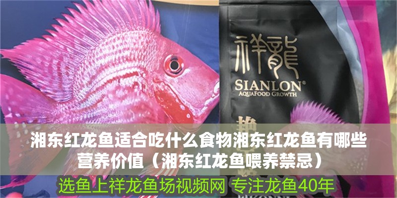 湘東紅龍魚適合吃什么食物湘東紅龍魚有哪些營(yíng)養(yǎng)價(jià)值（湘東紅龍魚喂養(yǎng)禁忌）