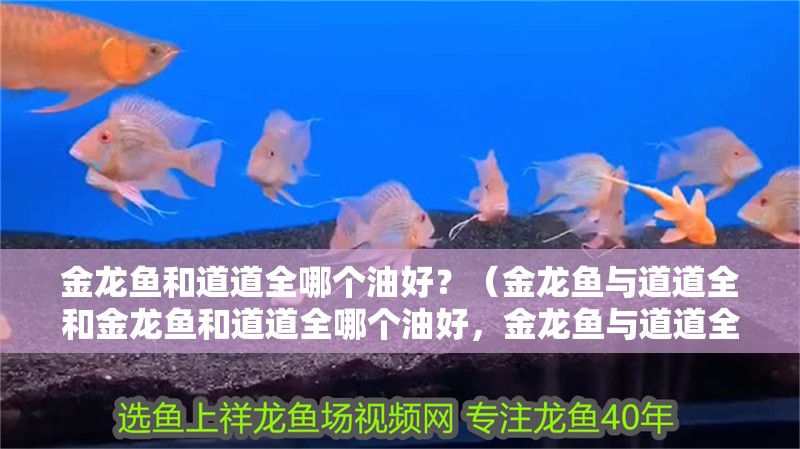 金龍魚和道道全哪個油好？（金龍魚與道道全和金龍魚和道道全哪個油好，金龍魚與道道全哪個好）