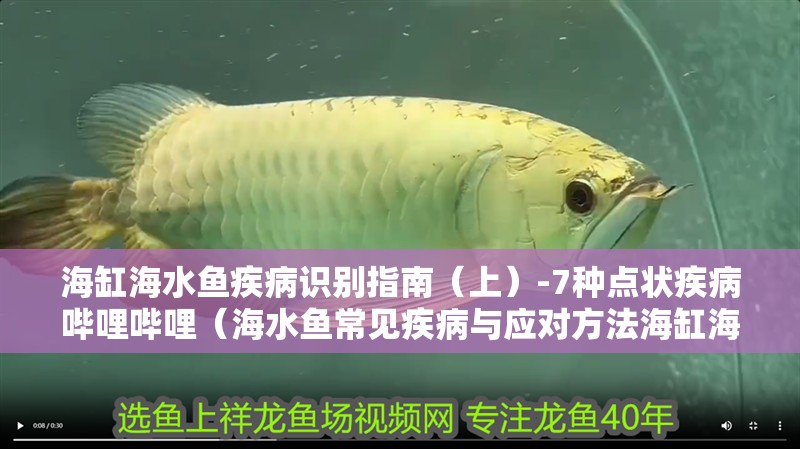 海缸海水魚疾病識(shí)別指南（上）-7種點(diǎn)狀疾病嗶哩嗶哩（海水魚常見(jiàn)疾病與應(yīng)對(duì)方法海缸海水魚疾病識(shí)別指南）