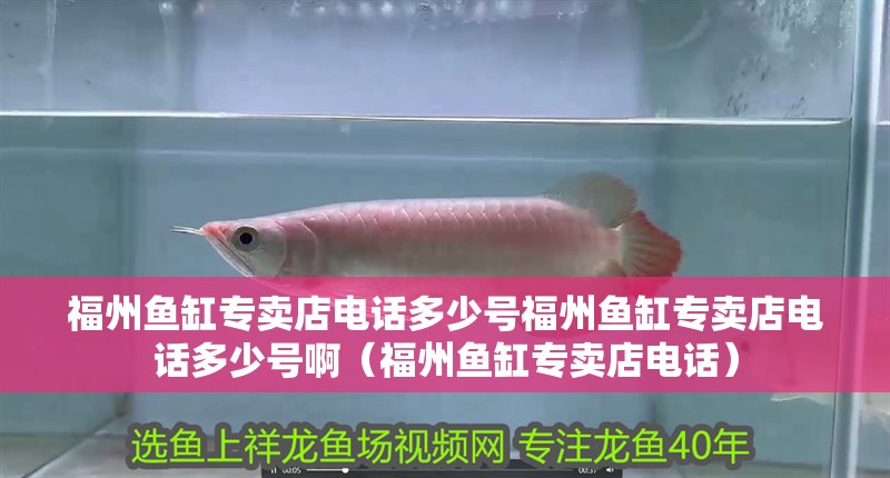 福州魚缸專賣店電話多少號福州魚缸專賣店電話多少號啊（福州魚缸專賣店電話）