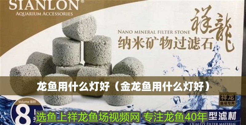 龍魚用什么燈好（金龍魚用什么燈好）
