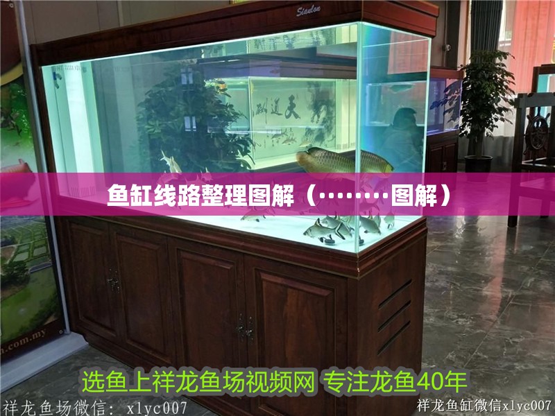 魚缸線路整理圖解（········圖解）