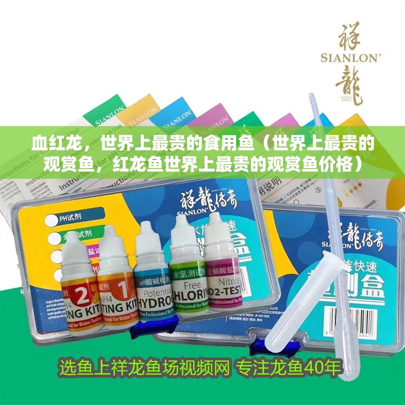 血紅龍，世界上最貴的食用魚（世界上最貴的觀賞魚，紅龍魚世界上最貴的觀賞魚價格） 血紅龍，世界上最貴的食用魚（世界上最貴的觀賞魚，紅龍魚世界上最貴的觀賞魚價格） 觀賞魚百科