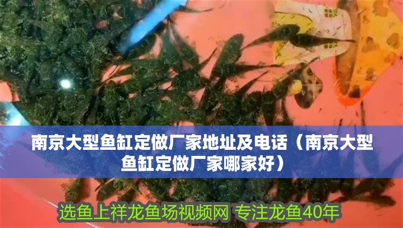 <strong><mark>南京</mark></strong>大型魚缸定做廠家地址及電話（<strong><mark>南京</mark></strong>大型魚缸定做廠家哪家好）