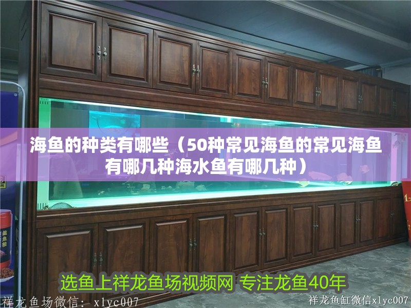 海魚的種類有哪些（50種常見海魚的常見海魚有哪幾種海水魚有哪幾種） 海魚的種類有哪些（50種常見海魚的常見海魚有哪幾種海水魚有哪幾種） 觀賞魚百科