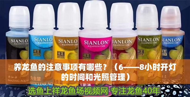 養龍魚的注意事項有哪些？（6——8小時開燈的時間和光照管理）