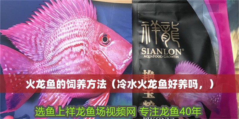 火龍魚的飼養方法（冷水火龍魚好養嗎，）