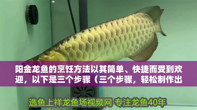 陽金龍魚的烹飪方法以其簡(jiǎn)單、快捷而受到歡迎，以下是三個(gè)步驟（三個(gè)步驟，輕松制作出美味的金龍魚）
