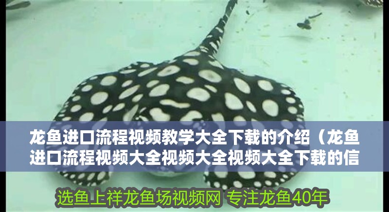龍魚進口流程視頻教學大全下載的介紹（龍魚進口流程視頻大全視頻大全視頻大全下載的信息別忘了在本站）