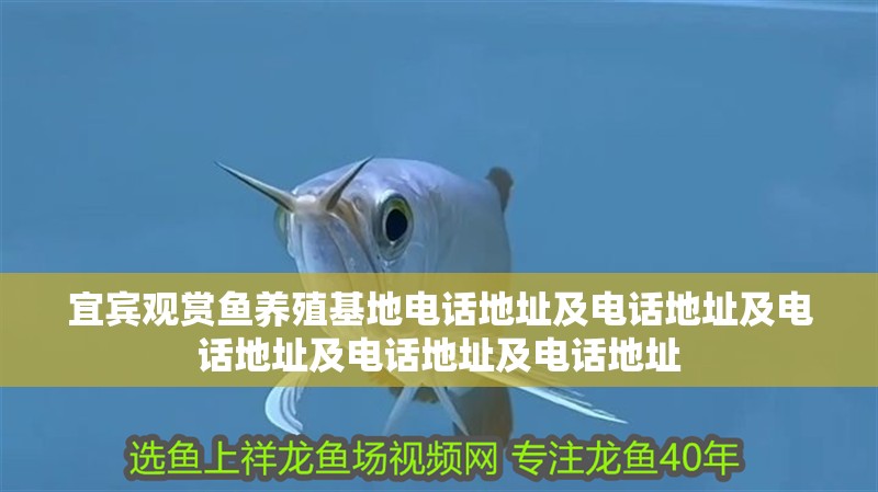 宜賓觀賞魚養(yǎng)殖基地電話地址及電話地址及電話地址及電話地址及電話地址