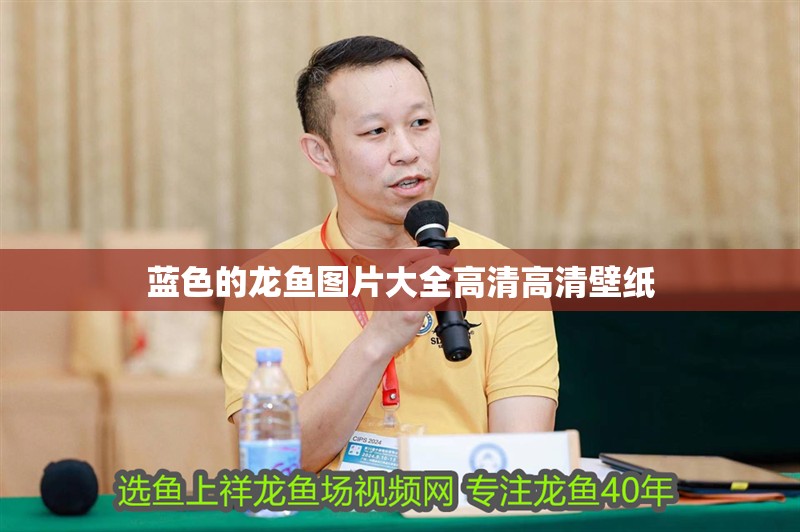 藍色的龍魚圖片大全高清高清壁紙