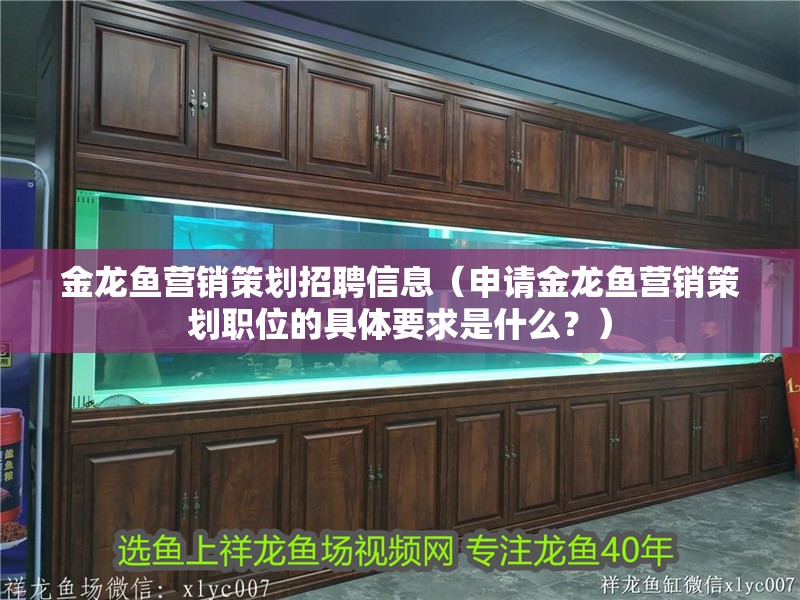金龍魚營銷策劃招聘信息（申請金龍魚營銷策劃職位的具體要求是什么？）