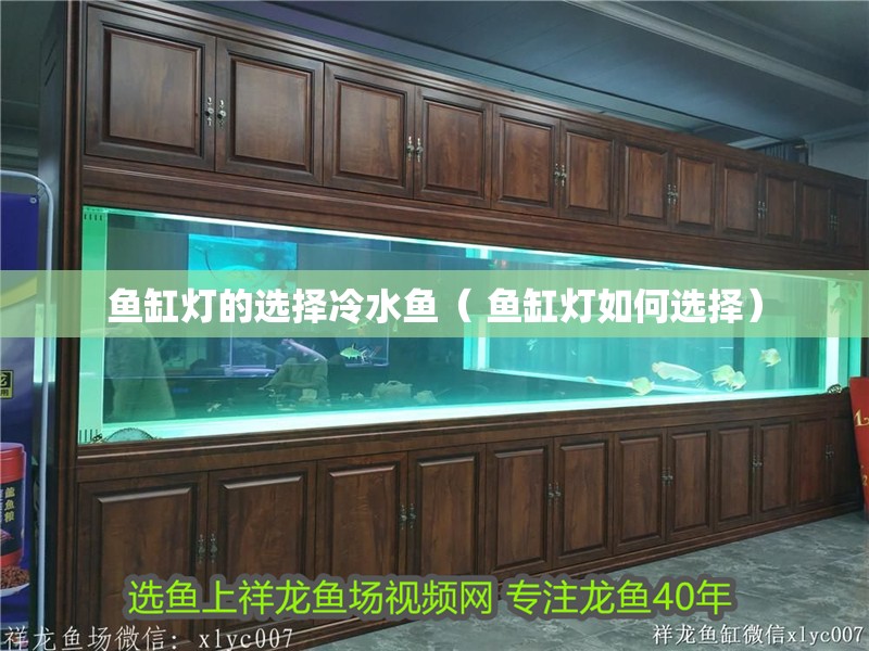 魚缸燈的選擇冷水魚（ 魚缸燈如何選擇）