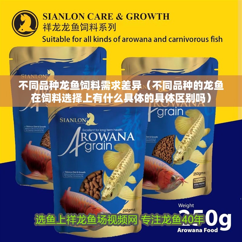 不同品種龍魚飼料需求差異（不同品種的龍魚在飼料選擇上有什么具體的具體區別嗎）