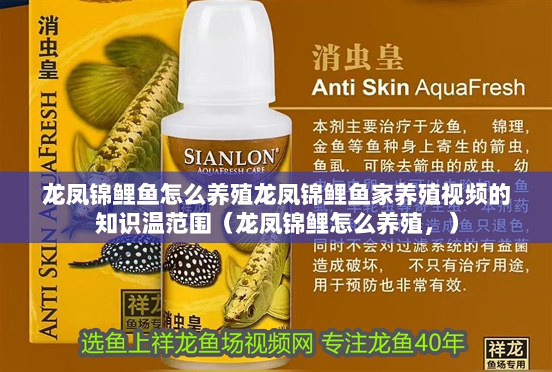 龍鳳錦鯉魚怎么養(yǎng)殖龍鳳錦鯉魚家養(yǎng)殖視頻的知識溫范圍（龍鳳錦鯉怎么養(yǎng)殖，）