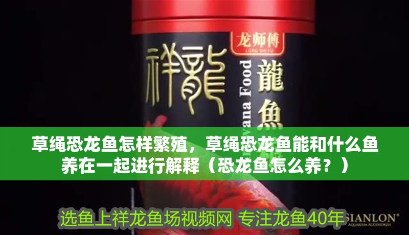 草繩恐龍魚怎樣繁殖，草繩恐龍魚能和什么魚養(yǎng)在一起進(jìn)行解釋（恐龍魚怎么養(yǎng)？）