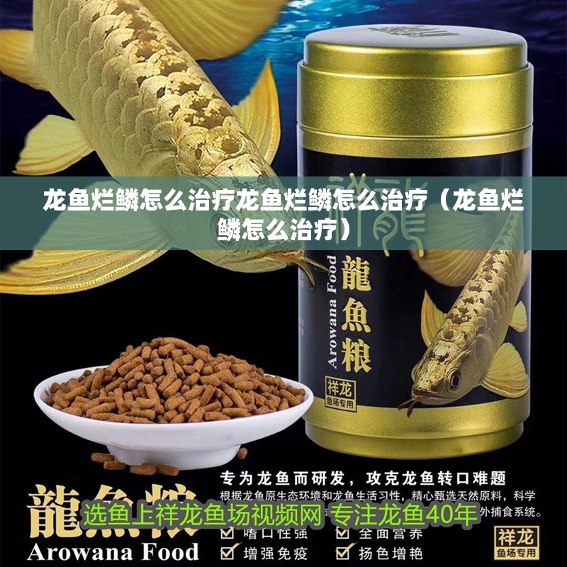 龍魚爛鱗怎么治療龍魚爛鱗怎么治療（龍魚爛鱗怎么治療）