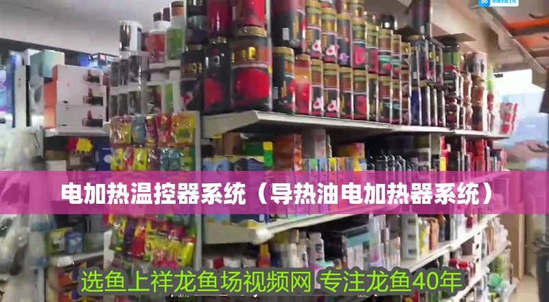 電加熱溫控器系統(tǒng)（導(dǎo)熱油電加熱器系統(tǒng)）