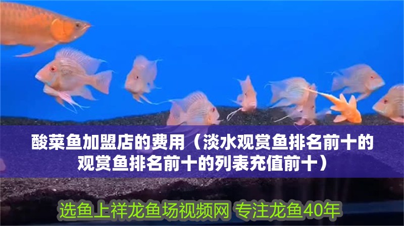 酸菜魚加盟店的費用（淡水觀賞魚排名前十的觀賞魚排名前十的列表充值前十）