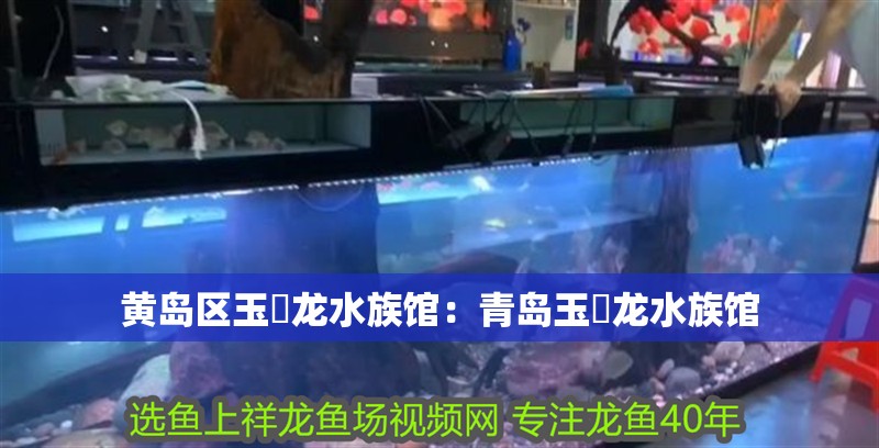 黃島區玉魟龍水族館：青島玉魟龍水族館