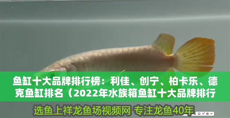 魚缸十大品牌排行榜：利佳、創寧、柏卡樂、德克魚缸排名（2022年水族箱魚缸十大品牌排行榜，德克魚缸品牌排行榜）