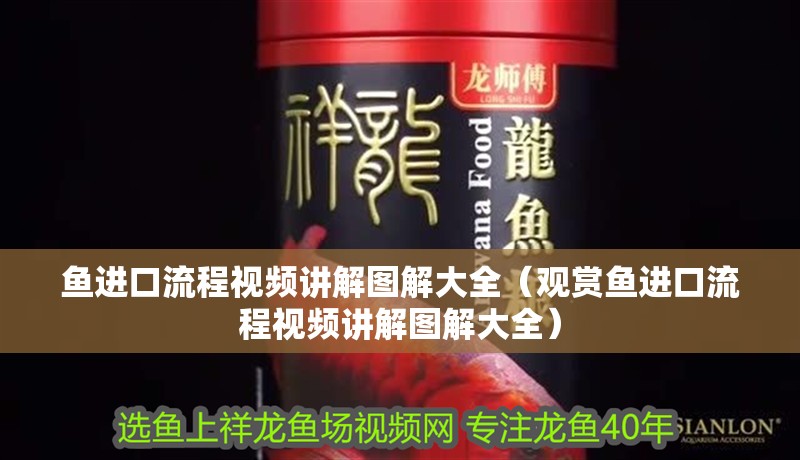 魚進口流程視頻講解圖解大全（觀賞魚進口流程視頻講解圖解大全） 魚進口流程視頻講解圖解大全（觀賞魚進口流程視頻講解圖解大全） 觀賞魚百科