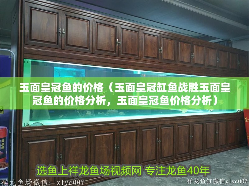玉面皇冠魚的價格（玉面皇冠缸魚戰勝玉面皇冠魚的價格分析，玉面皇冠魚價格分析）