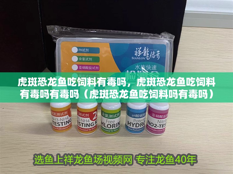 虎斑恐龍魚吃飼料有毒嗎，虎斑恐龍魚吃飼料有毒嗎有毒嗎（虎斑恐龍魚吃飼料嗎有毒嗎） 虎斑恐龍魚吃飼料有毒嗎，虎斑恐龍魚吃飼料有毒嗎有毒嗎（虎斑恐龍魚吃飼料嗎有毒嗎） 觀賞魚百科