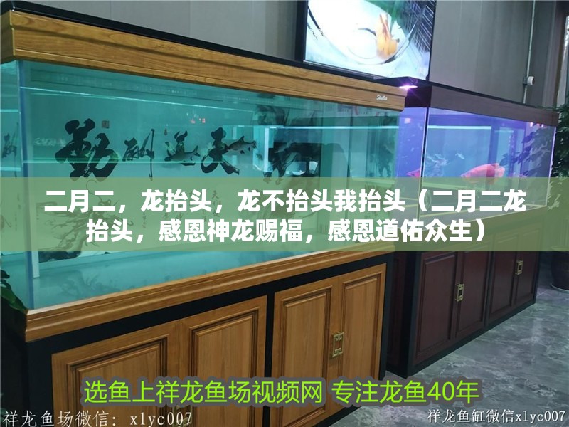二月二，龍?zhí)ь^，龍不抬頭我抬頭（二月二龍?zhí)ь^，感恩神龍賜福，感恩道佑眾生）