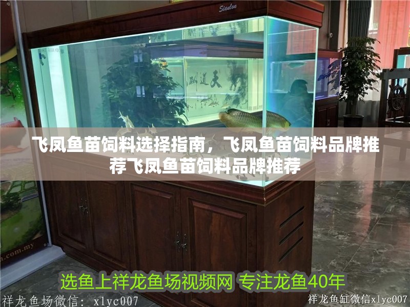 飛鳳魚苗飼料選擇指南，飛鳳魚苗飼料品牌推薦飛鳳魚苗飼料品牌推薦