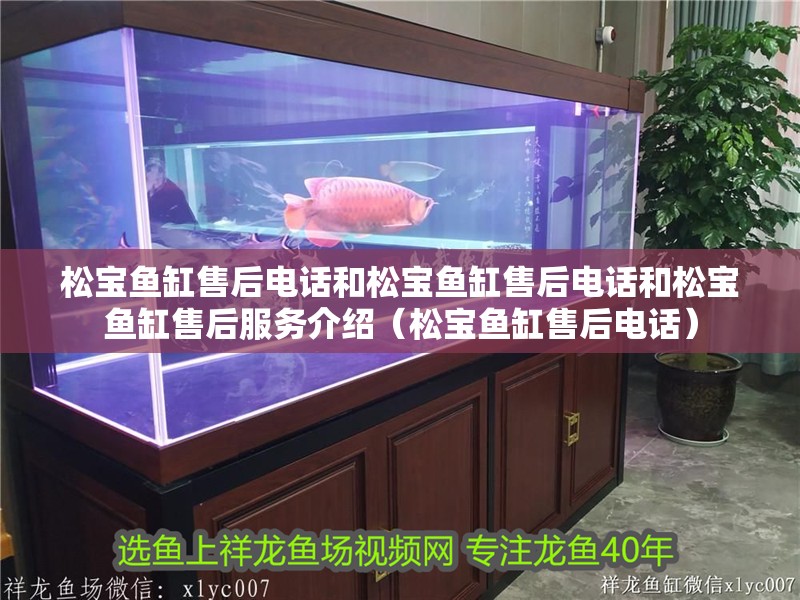 松寶魚缸售后電話和松寶魚缸售后電話和松寶魚缸售后服務介紹（松寶魚缸售后電話）