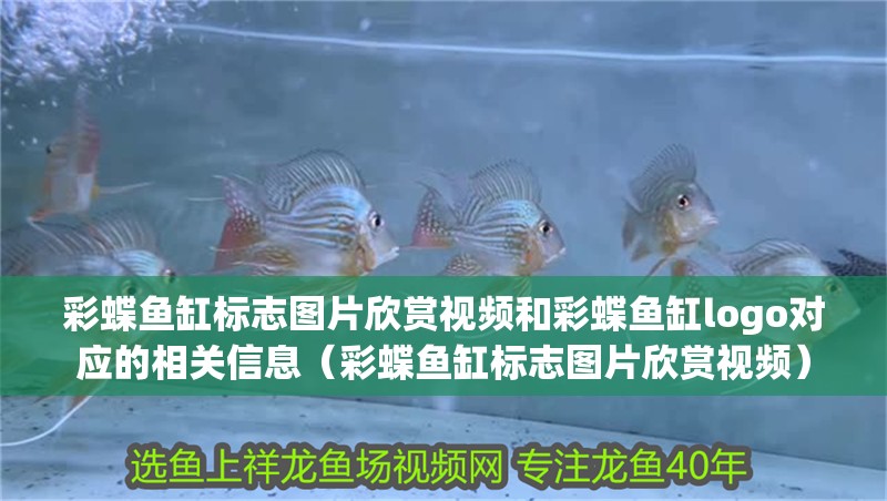 彩蝶魚缸標志圖片欣賞視頻和彩蝶魚缸logo對應的相關信息（彩蝶魚缸標志圖片欣賞視頻）
