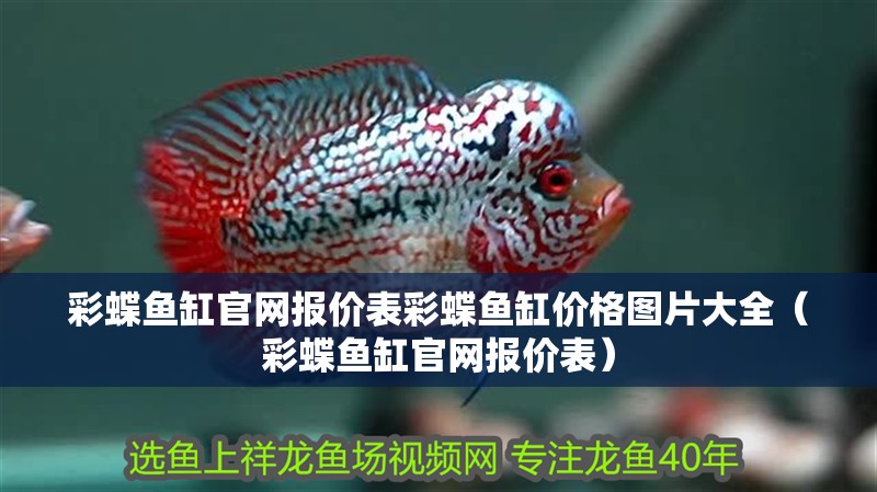 彩蝶魚(yú)缸官網(wǎng)報(bào)價(jià)表彩蝶魚(yú)缸價(jià)格圖片大全（彩蝶魚(yú)缸官網(wǎng)報(bào)價(jià)表）