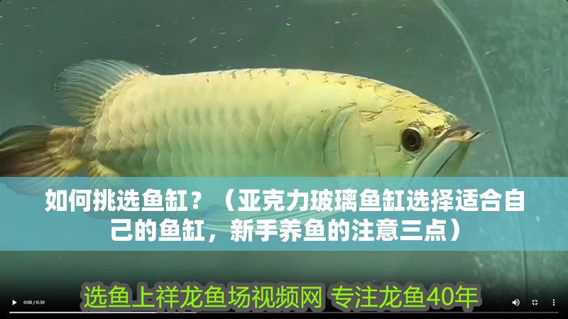 如何挑選魚缸？（亞克力玻璃魚缸選擇適合自己的魚缸，新手養魚的注意三點）