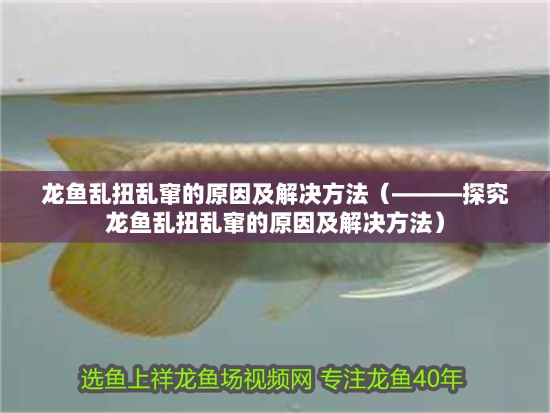 龍魚亂扭亂竄的原因及解決方法（———探究龍魚亂扭亂竄的原因及解決方法） 龍魚亂扭亂竄的原因及解決方法（———探究龍魚亂扭亂竄的原因及解決方法） 觀賞魚百科 第3張