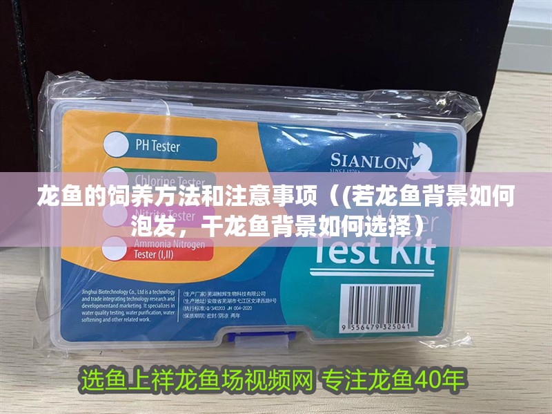 龍魚的飼養方法和注意事項（(若龍魚背景如何泡發，干龍魚背景如何選擇）