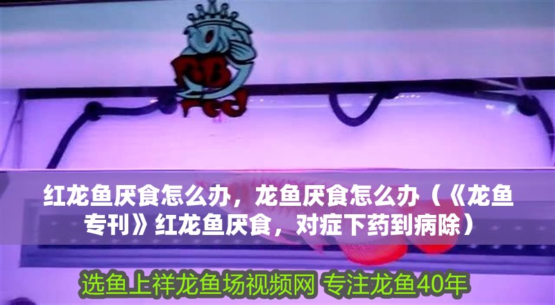 紅龍魚厭食怎么辦，龍魚厭食怎么辦（《龍魚專刊》紅龍魚厭食，對癥下藥到病除）