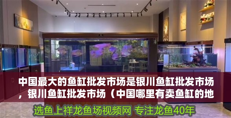中國(guó)最大的魚缸批發(fā)市場(chǎng)是銀川魚缸批發(fā)市場(chǎng)，銀川魚缸批發(fā)市場(chǎng)（中國(guó)哪里有賣魚缸的地方）