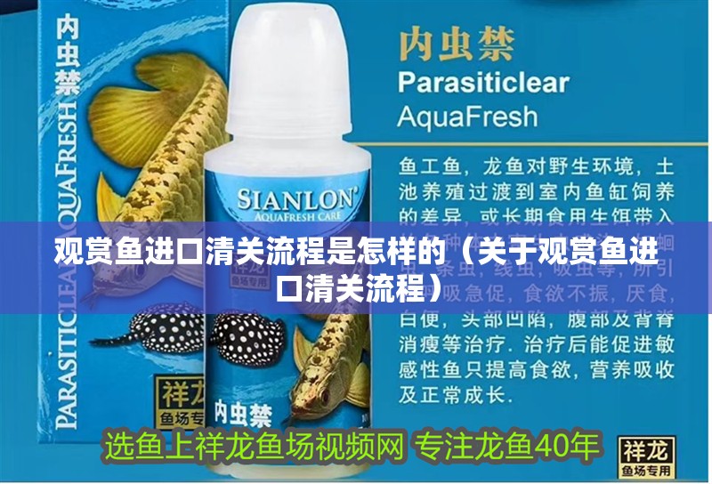 觀賞魚進口清關流程是怎樣的（關于觀賞魚進口清關流程）