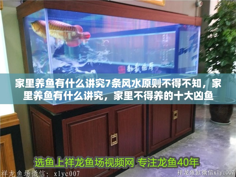 家里養(yǎng)魚有什么講究7條風水原則不得不知，家里養(yǎng)魚有什么講究，家里不得養(yǎng)的十大兇魚