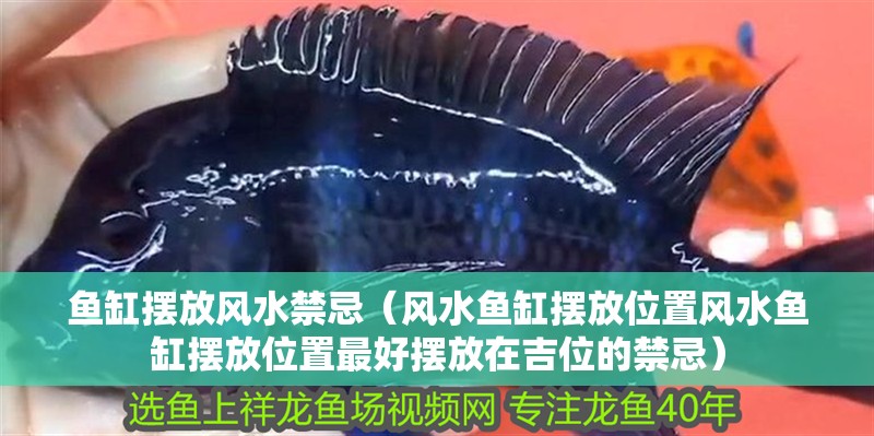 魚缸擺放風水禁忌（風水魚缸擺放位置風水魚缸擺放位置最好擺放在吉位的禁忌）