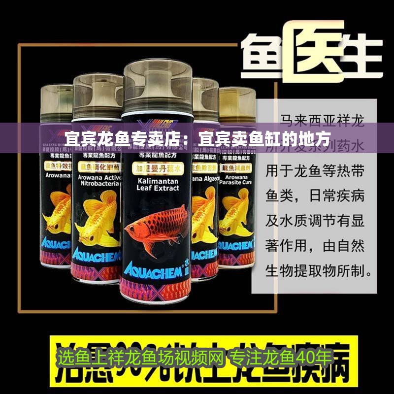 宜賓龍魚專賣店：宜賓賣魚缸的地方